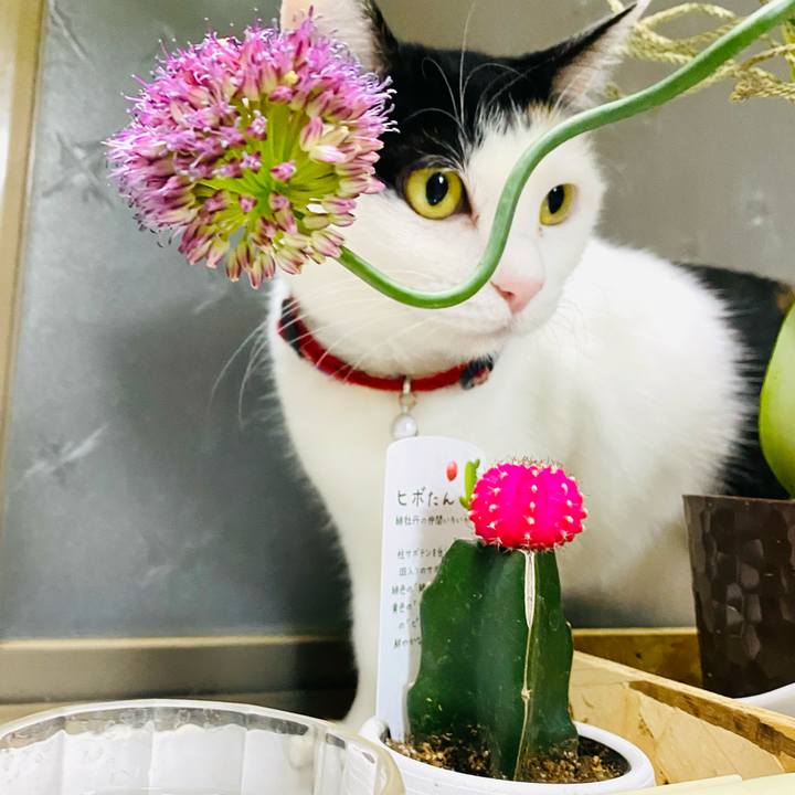 Bae0e5de 8846 4acd 917e 4d266ff27741 1677759565214