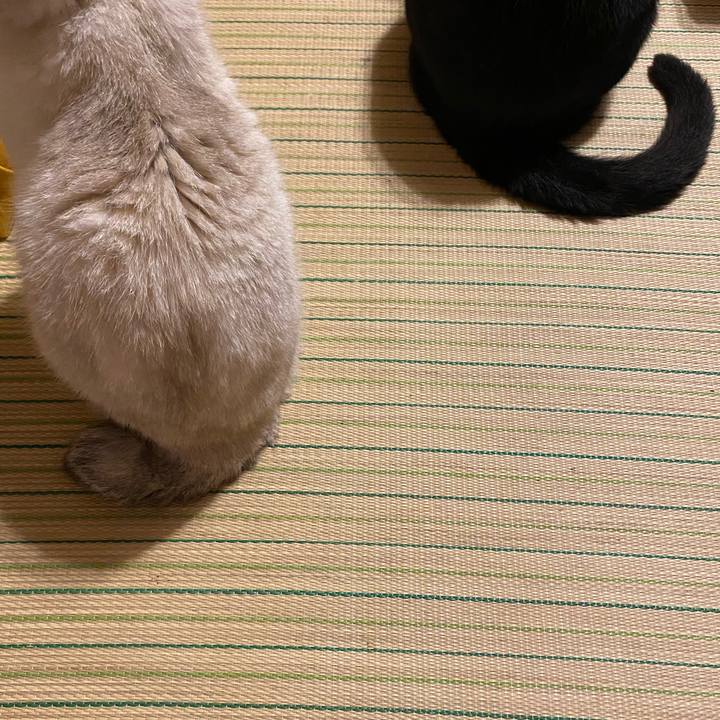 Bae11a8b b987 463e b3a8 c91466eb52f1 1594901746395