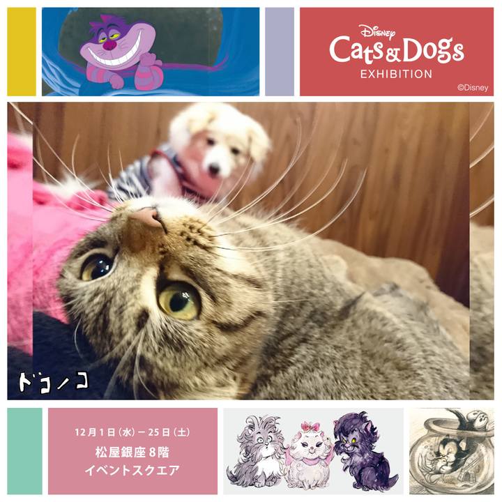 Bae18f23 a7e7 4a0f b170 dac4261ececd 1638451706346