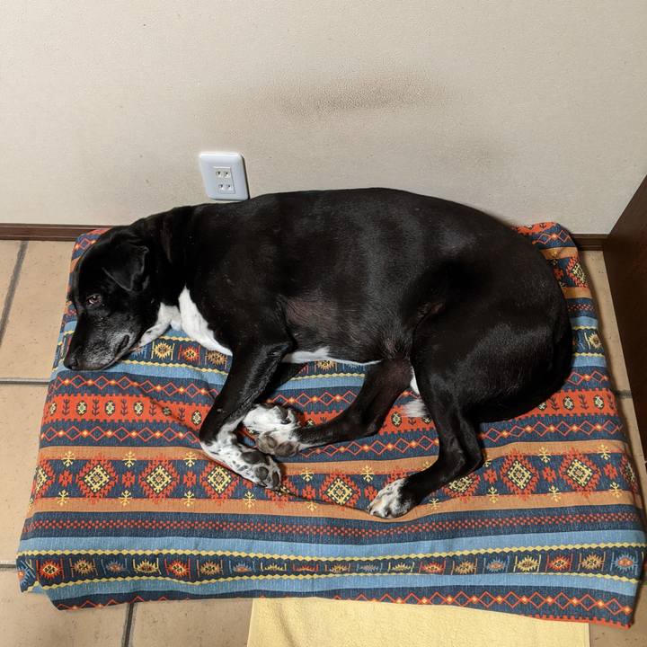 Bae1906a ddce 4a72 b74f 7cb8ddcd7818 1697327953916