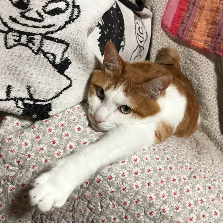 Bae1a948 27d7 4e31 a21b e9aa78c5ae4d 1530480537393