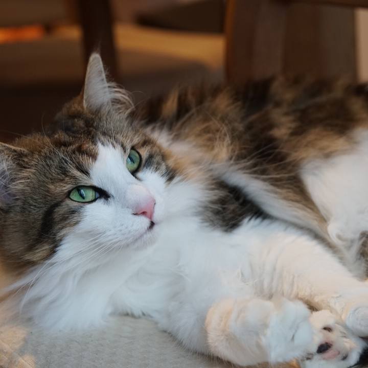 Bae1e2a0 b555 4f48 bd69 88ae57470599 1556096873748