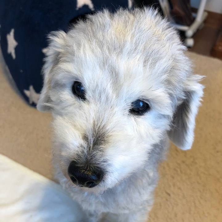 Bae1ea86 0acb 46b7 abd0 a19135371f6e 1642118455475