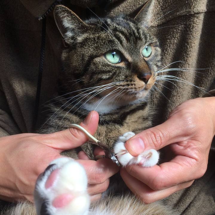 Bae1eb0c fe74 4631 8c32 587ecdbfc2e4 1517621754172