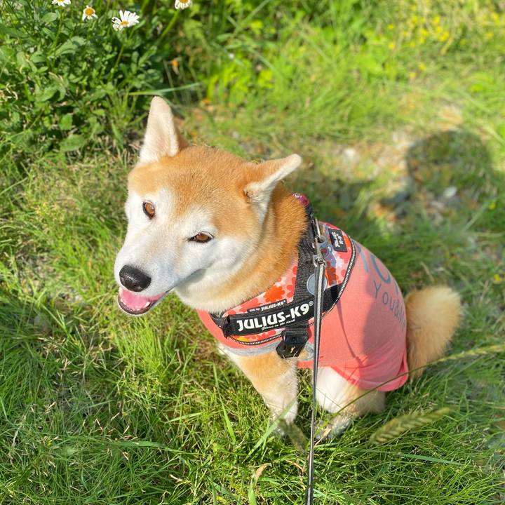 Bae24a66 783c 48e8 8191 049c1e18e707 1626829169124