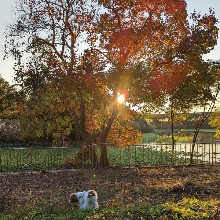 Bae255cf d6c5 4eae b2ed 18feca58cbc8 1668685664426