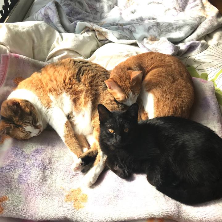 Bae26373 eec6 4428 8693 96d806e3bb3e 1518065555939