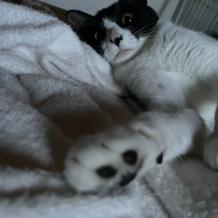 Bae28097 0f5d 4c6f b891 421b090ec151 1686599085883