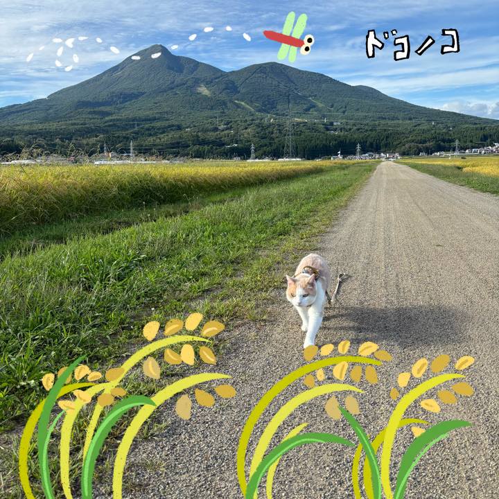 Bae2960c cb6b 4164 b4cf 82e2931f8d3c 1761180778828