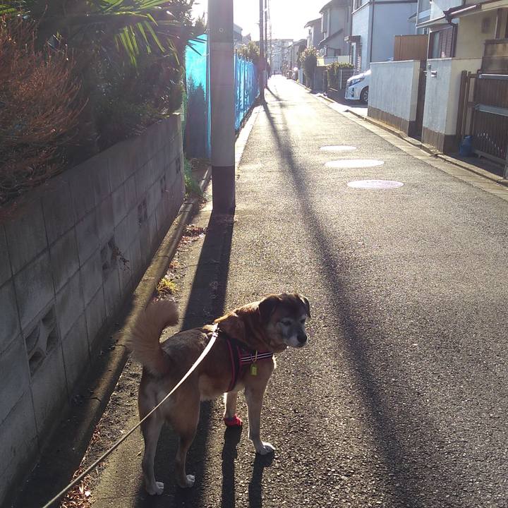 Bae2c8db 0536 44c4 b34d 492084d41d6c 1547165261728