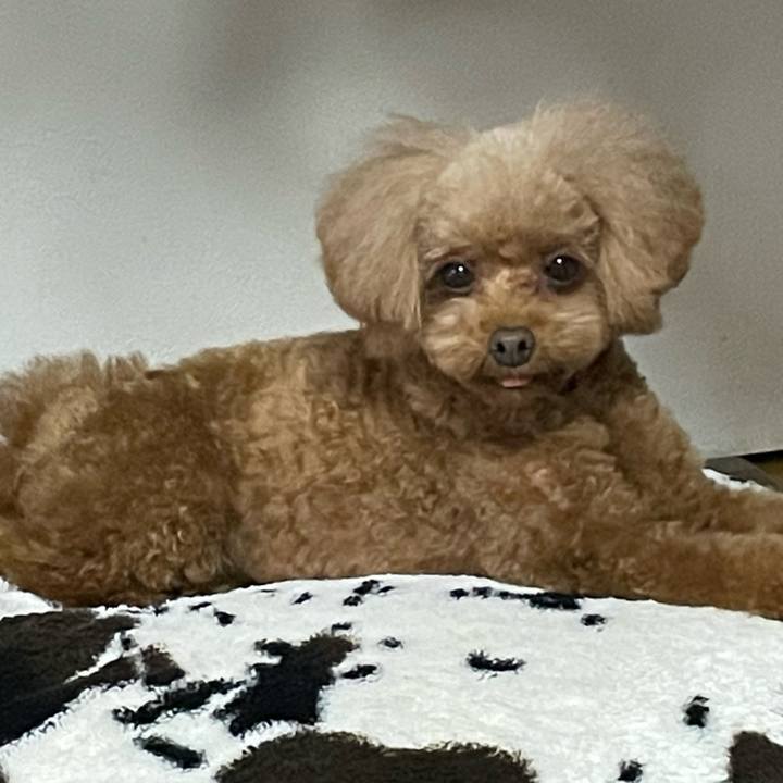 Bae314dd c48a 4987 b7b9 81f90e8f3925 1676191541895