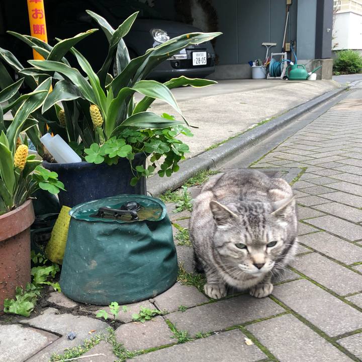 Bae317e4 ef7d 4660 9f8b 50fc731840e0 1656518033059