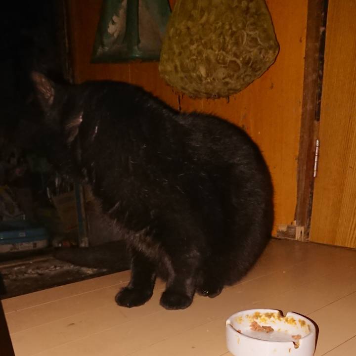 Bae39bd0 bbfd 41ee 85cf 3bd7b529a8c0 1644582073807