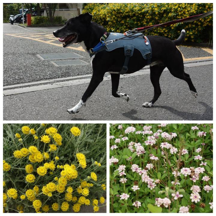 Bae3dd3b 8fc1 4291 b67e f030c364785f 1717201283098