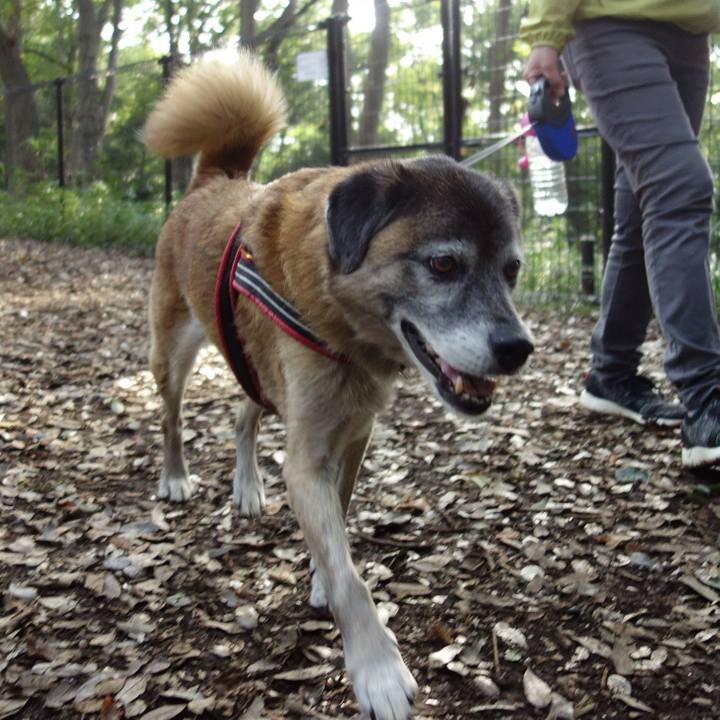 Bae3e5a7 8696 4f8e 926d c6ef2b553854 1572481732495