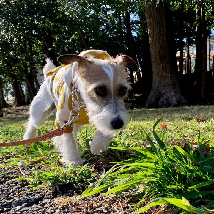 Bae41339 6f02 4d63 bb75 cdabc021d2f8 1614759040234