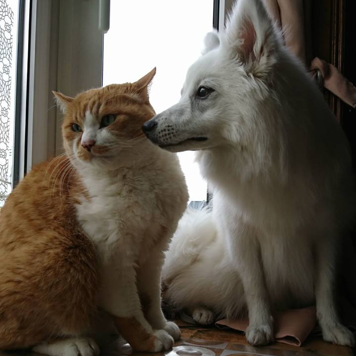 Bae45aa8 319a 46ad bfcc e105935a25b9 1519198389162