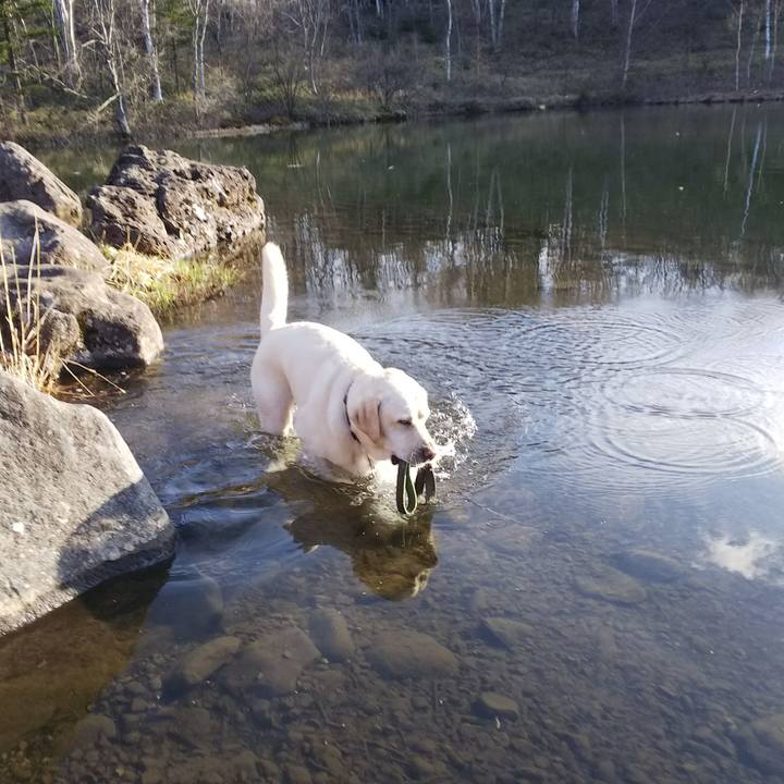 Bae45c67 bc56 42e3 be63 9e5a3a60feda 1557308614686