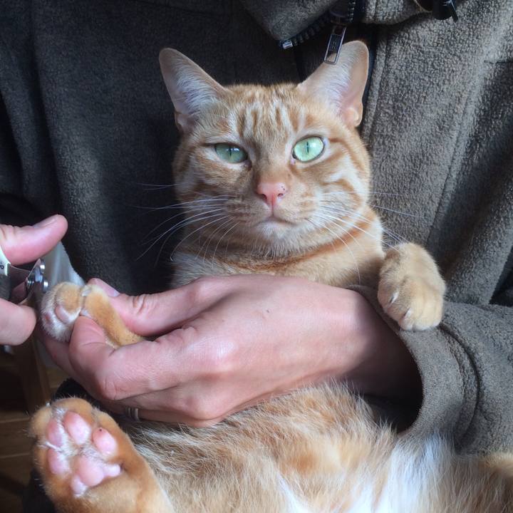 Bae46398 2e5b 47a5 83d4 a77022fd5e82 1517621633739