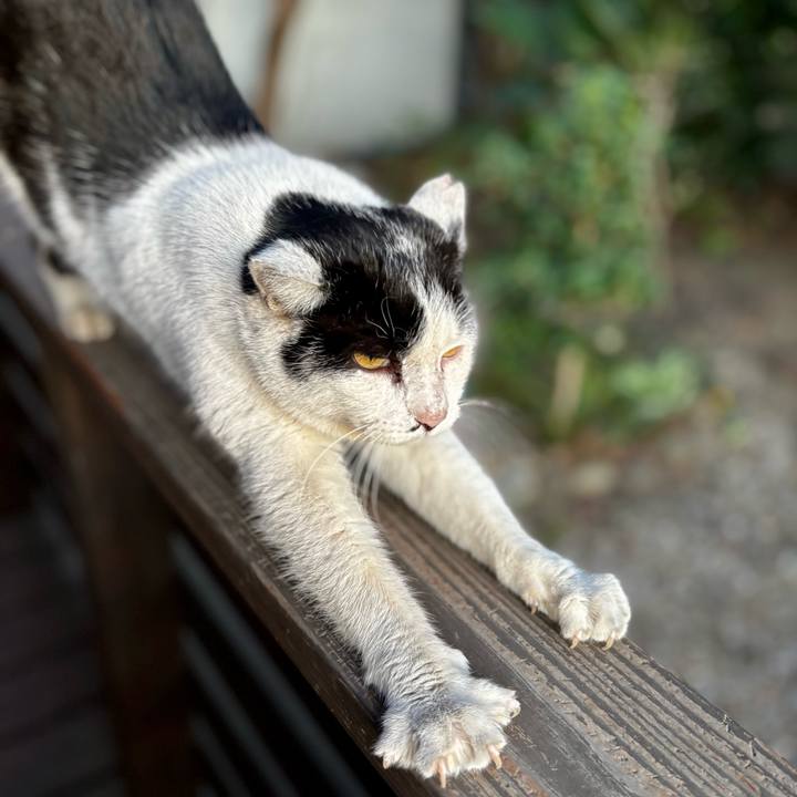 Bae4678e b5ce 4d9d ac5e 2be6edabedda 1773725353336