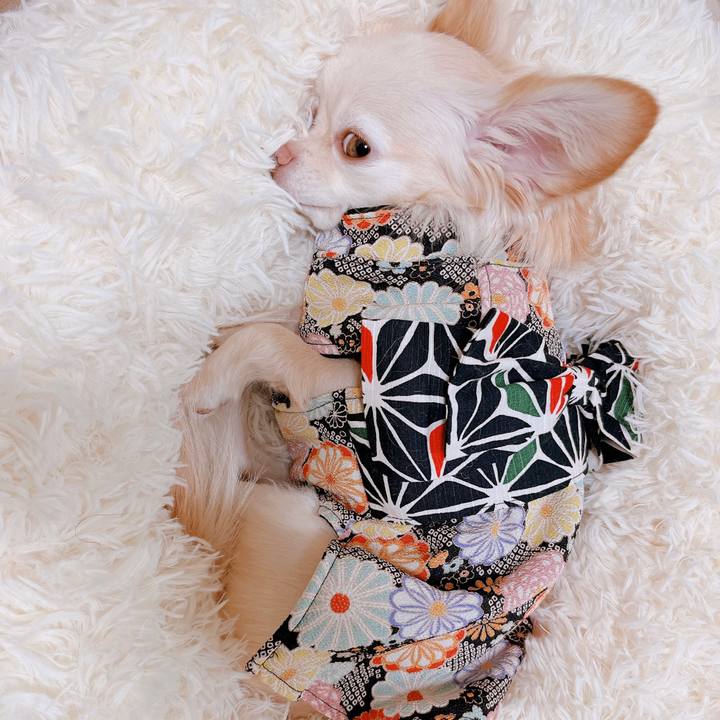 Bae468b7 7b02 46cd a681 8658f759a239 1673682257567