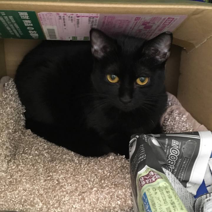 Bae4bf34 f0d3 414a be9a be9107bf965a 1516179708451