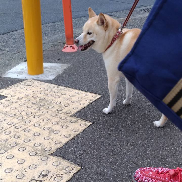 Bae4e45b 0817 49d5 8e42 598c152c5c5f 1600554510043