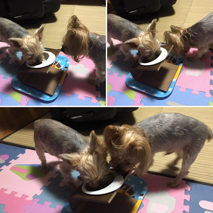 Bae4f16f d5e2 4d8a 9e66 bb1b46701929 1599819908410