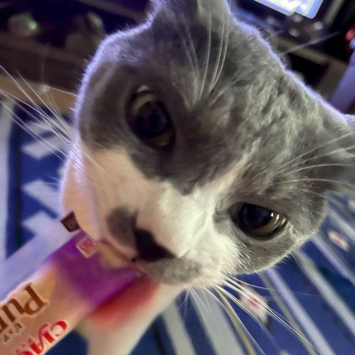 Bae50ede 50a9 4767 8d09 ef8b7df8955f 1661411389439