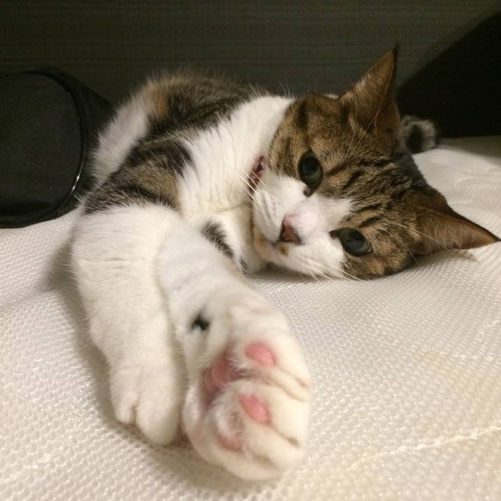 Bae54de6 0ab5 4488 b088 27cb4f0fd83b 1531222495107