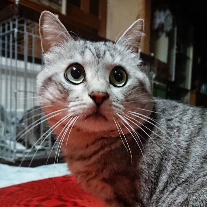 Bae56265 1374 4ef9 80f9 1161e4145163 1555476977321