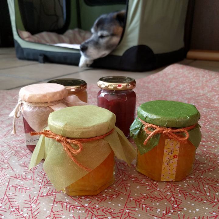 Bae56a11 a473 433e 90c2 51e4006d4c3e 1545981699111