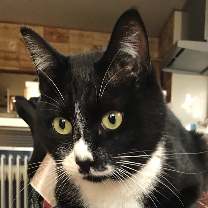 Bae57df6 a25e 4b02 a128 95704ea23cde 1545999989109