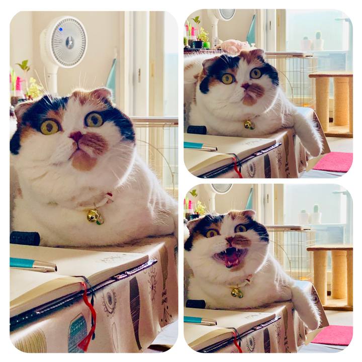 Bae5814b 75a2 4b87 8e0c 404cc14c8f56 1562803401384