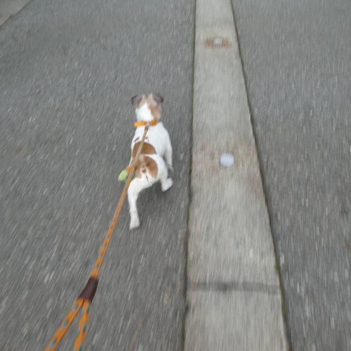 Bae5b6ce 9068 45fa b4de d67df7eb35c9 1588677089884