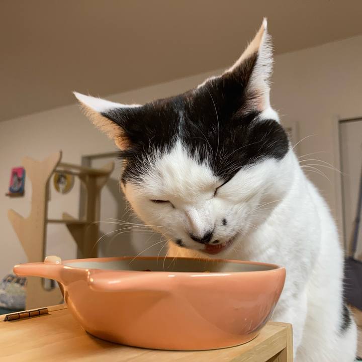 Bae62d71 0563 4d14 b458 32b5d8c83d26 1769720533231