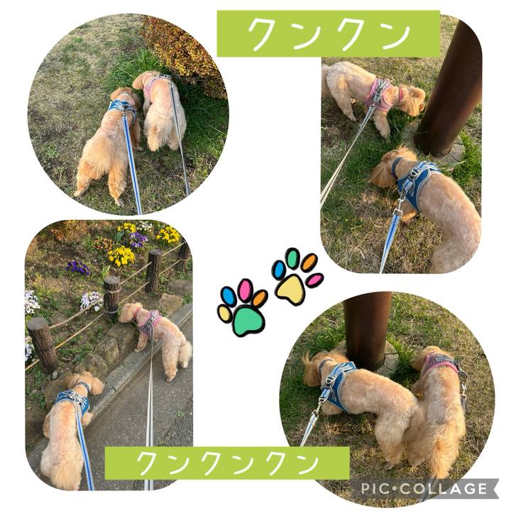 Bae635b9 31e4 4536 ba04 939e1d15e25c 1742719257020