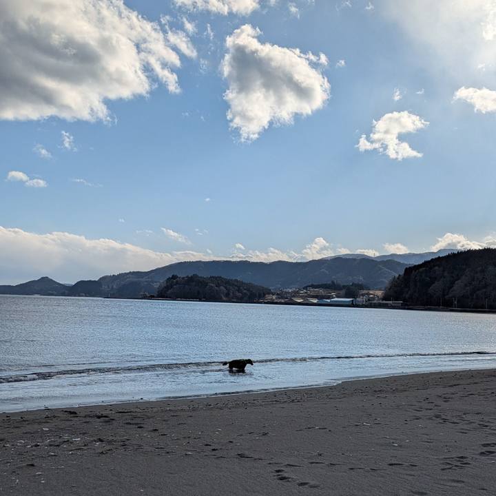 Bae6393f 654c 4feb bd84 16e42978aae3 1770025626877