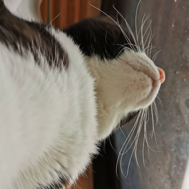 Bae6bbe2 e6a7 423b a079 b05b84eb512f 1626148823535