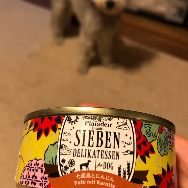 Bae6eb3a f0f9 40cf a046 a4db10494a3d 1626321013777