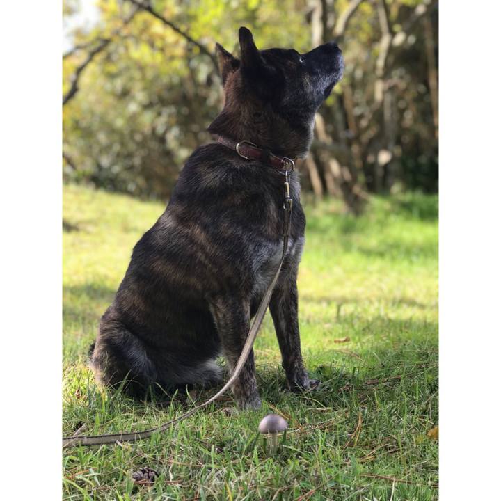 Bae72241 97e0 4d73 ab74 666fdc198087 1572233702698