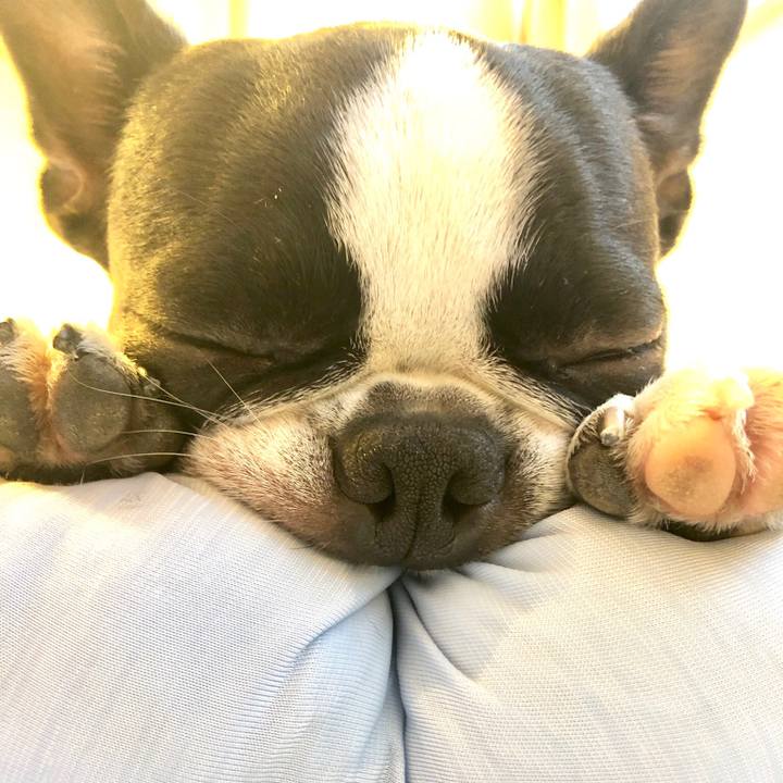 Bae73692 2347 4cbb a5bd bf589dd376c7 1534665479762