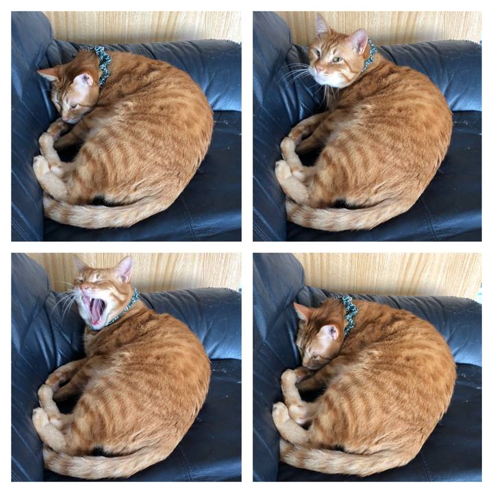 Bae78382 d5ab 4329 b145 d270c777ab5f 1553588509859