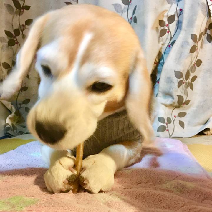 Bae78a67 26e3 471b 85ba fb6bb8ef7b1e 1771050348088