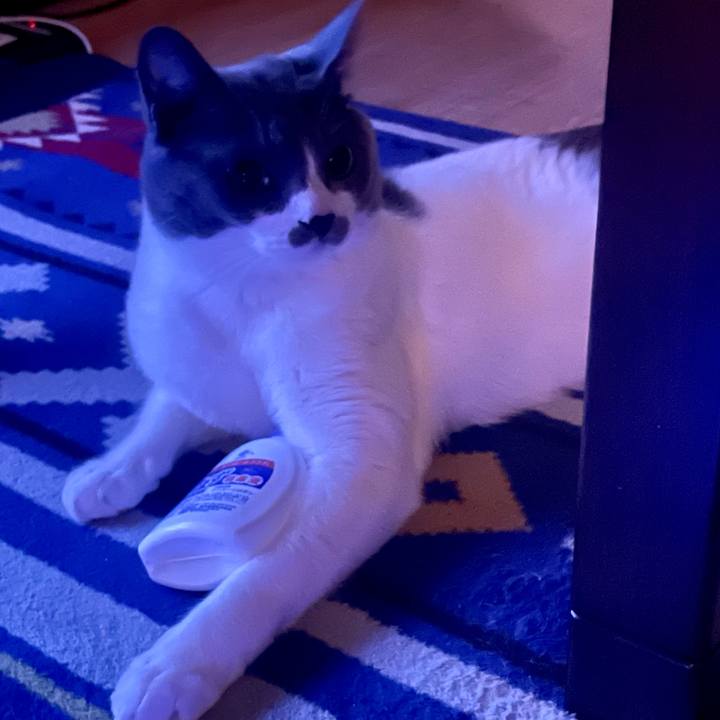 Bae7a5d8 16a9 4458 a400 a6e251d21920 1634741085744