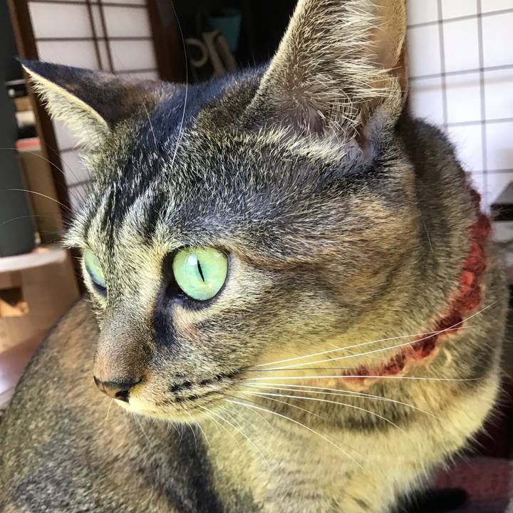 Bae7aeeb 756c 40da 90f7 8fad6c1e626f 1632214240689