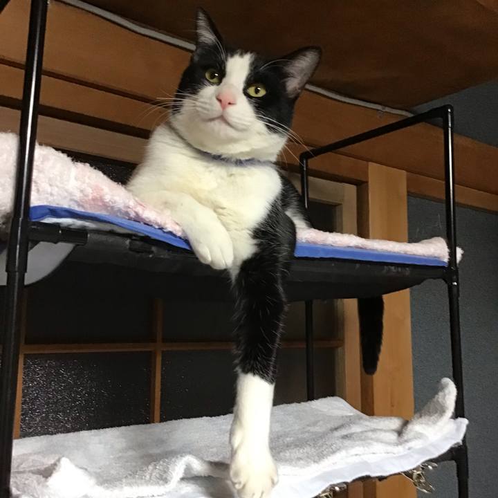 Bae7c8f1 fe19 4424 9fa1 78ef34e61ff3 1645179505140