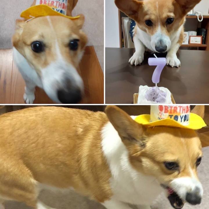 Bae7dc77 9b3a 439b 88f9 d8a667ea3e61 1684331046165