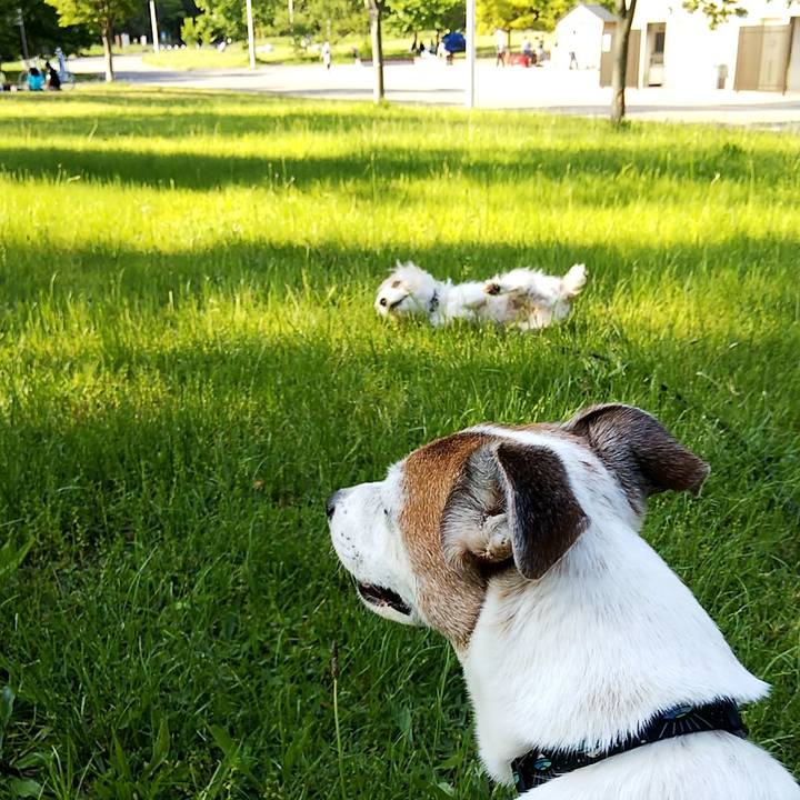 Bae7ef8c f212 4ac7 8c07 6306ec2dd7e6 1557563684135