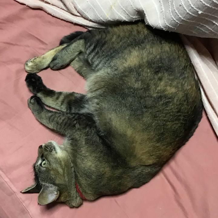 Bae7f793 b88f 40a5 82c9 192a73b36170 1684498554442